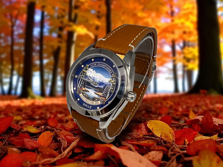 NEW HAMPSHIRE WATCH